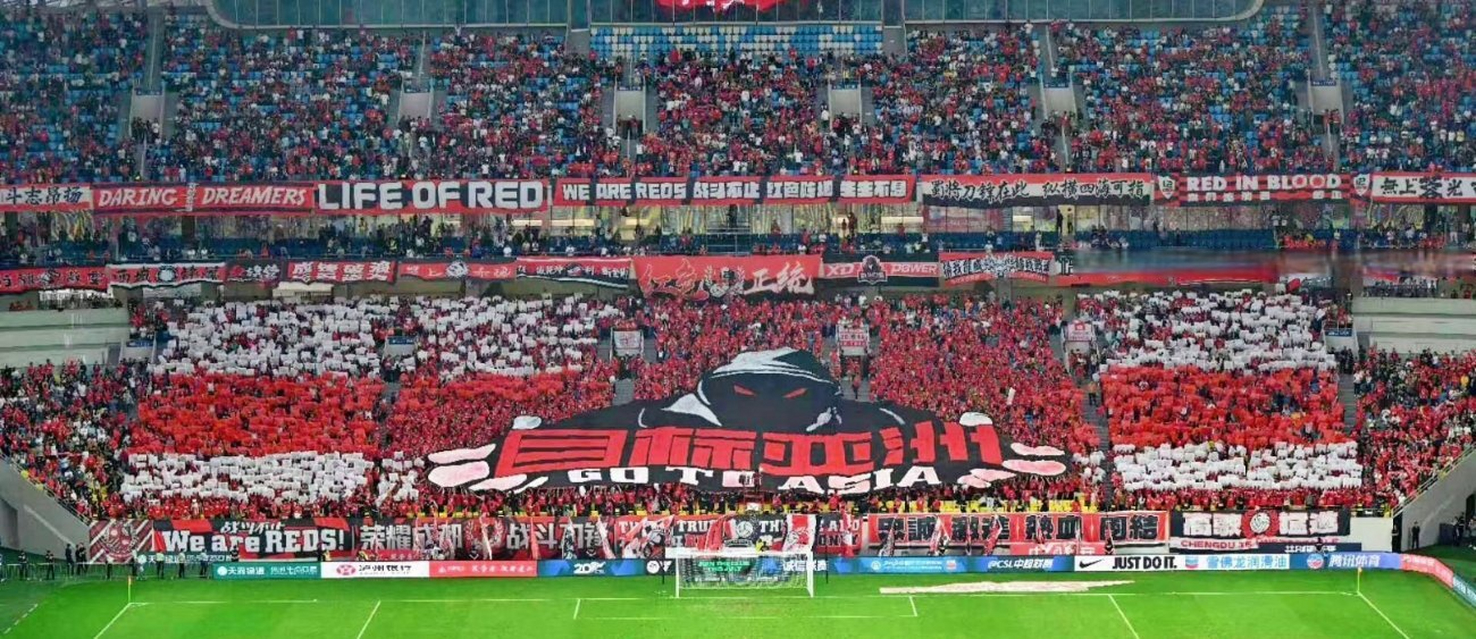 包含韩国队杯赛迎战劲敌，目标只有遭遇淘汰的词条